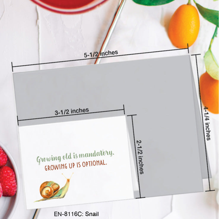 Snail, Greeting Card (8116C), Enclosure, www.printedcanvas.com
