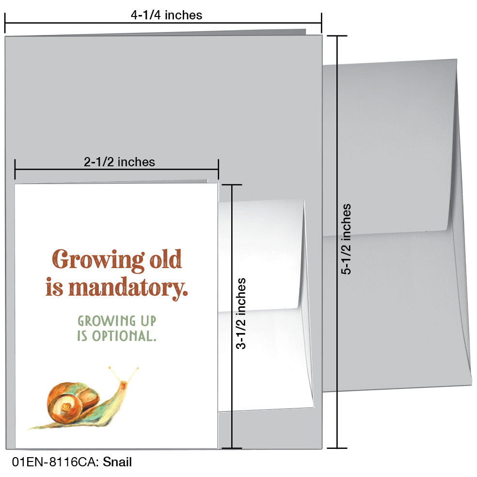 Snail, Greeting Card (8116CA), Enclosure, www.printedcanvas.com