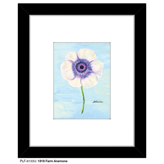 1818 Farm Anemone, Print (#8133G)