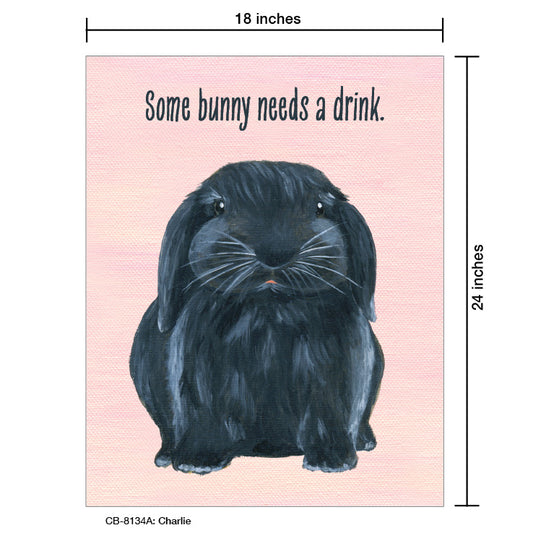 Charlie Bunny, Card Board (8134A), 18'x24 PosterBoard at www.printedcanvas.com