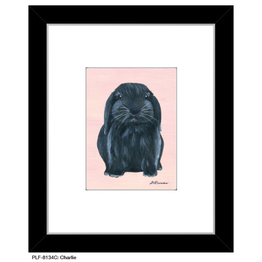 Charlie, Print (#8134C) - Printed Canvas