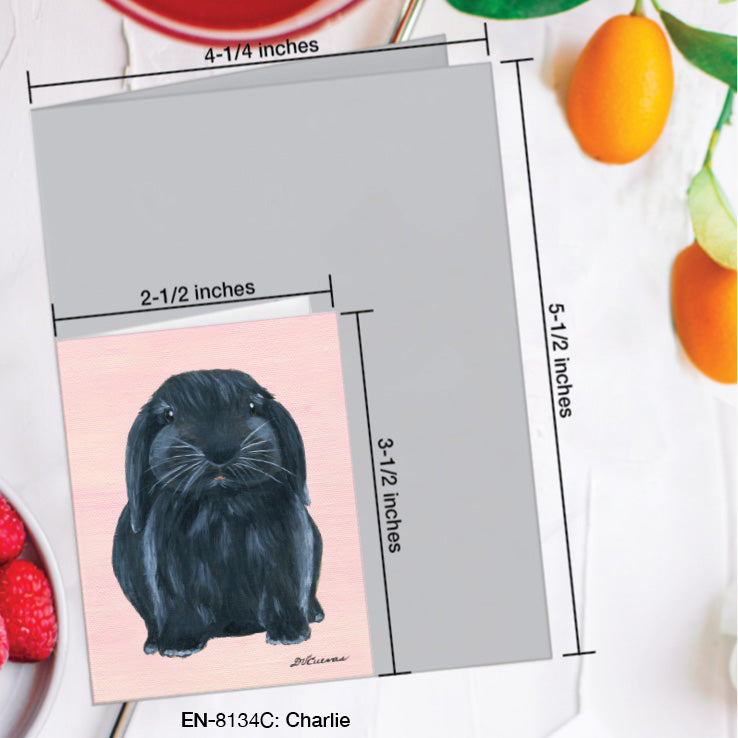 Charlie Bunny, Greeting Card (8134C), Enclosure Card, www.printedcanvas.com