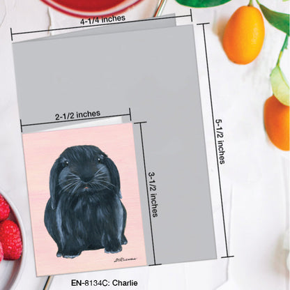 Charlie Bunny, Greeting Card (8134C), Enclosure Card, www.printedcanvas.com