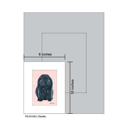 Charlie, Print (#8134C) - Printed Canvas