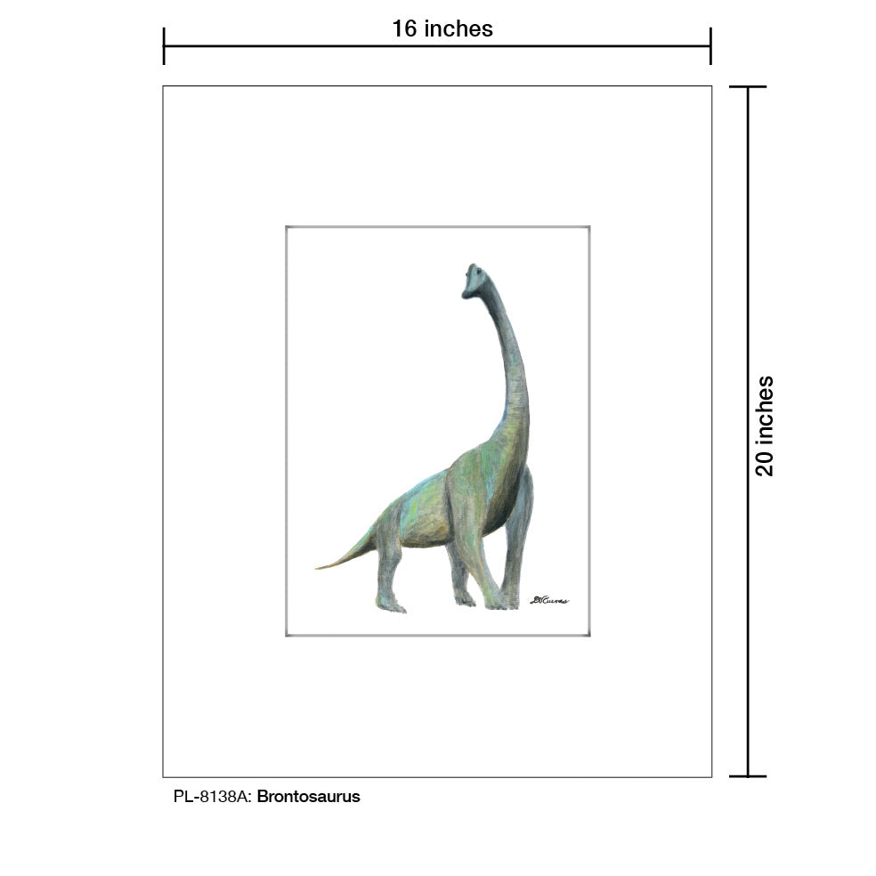 Brontosaurus, Print (#8138A)