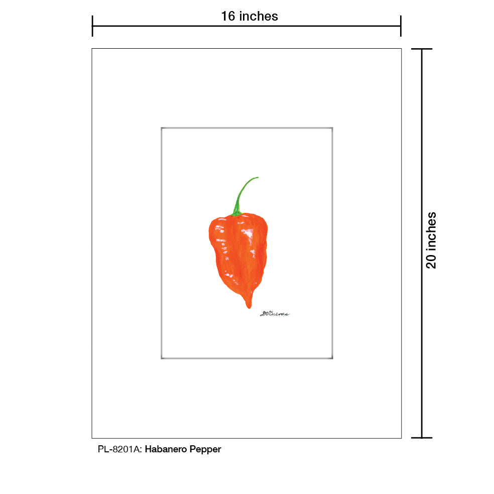 Habanero Pepper, Print (#8201A)