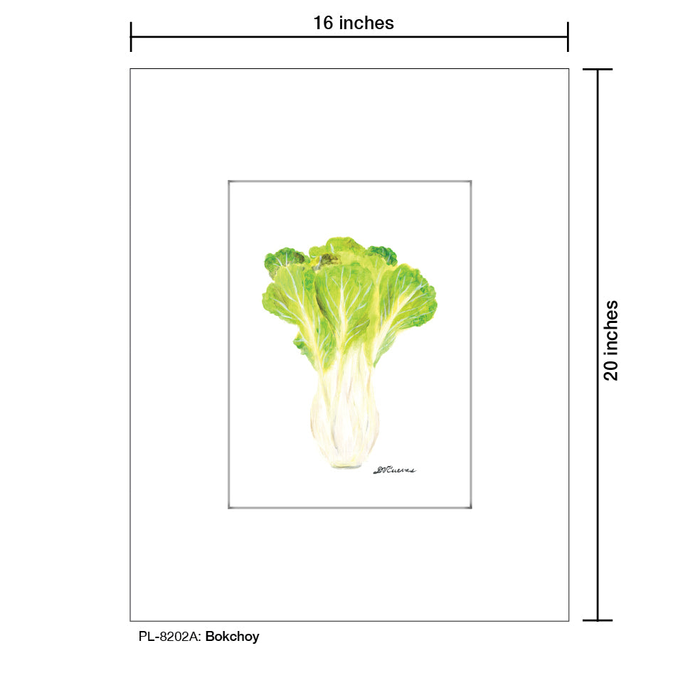 Bokchoy, Print (#8202A)