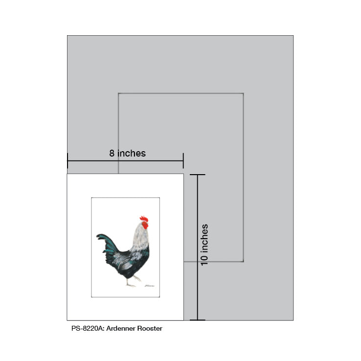 Ardenner Rooster, Print (#8220A)