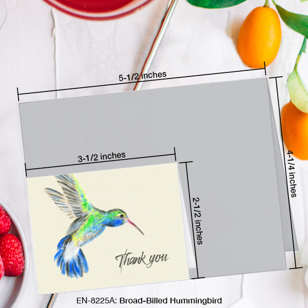 Broad-Billed Hummingbird, Greeting Card (8225A), Enclosure Card, www.printedcanvas.com
