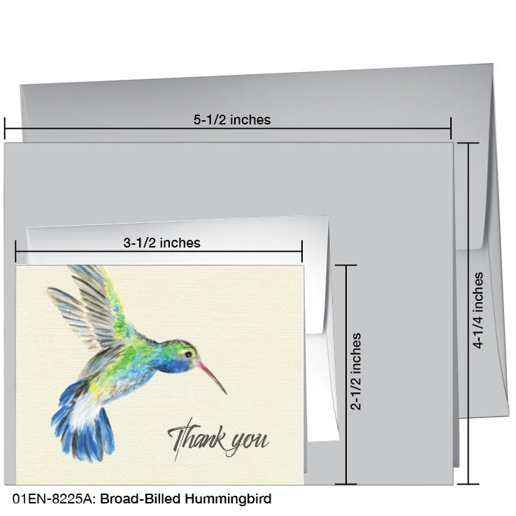 Broad-Billed Hummingbird, Greeting Card (8225A), Enclosure, printedcanvas.com