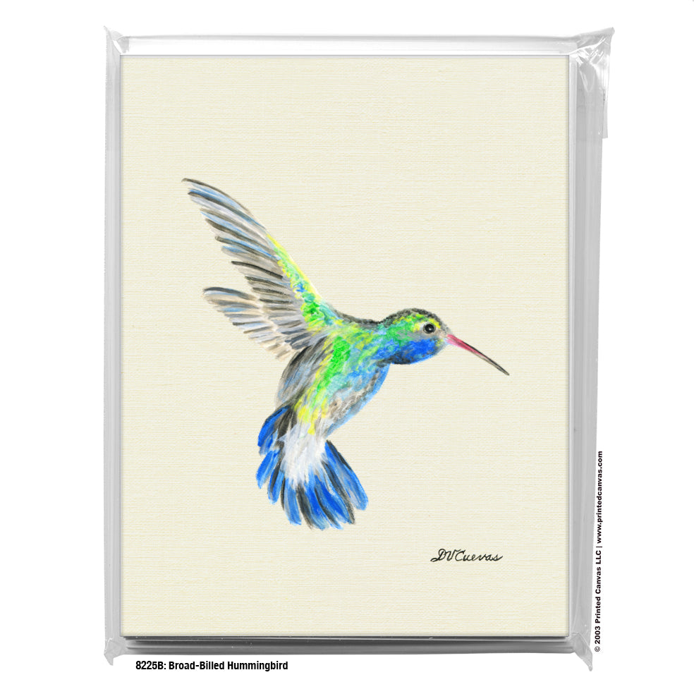 Broad-Billed Hummingbird, Greeting Card (#8225B)