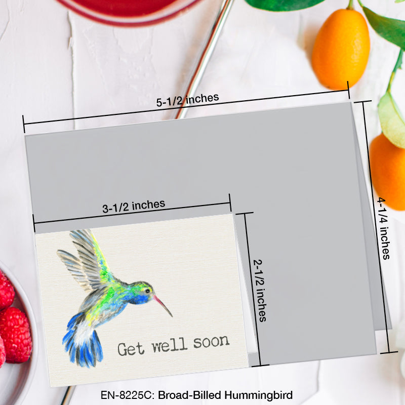 Broad-Billed Hummingbird, Greeting Card (8225C), Enclosure, www.printedcanvas.com