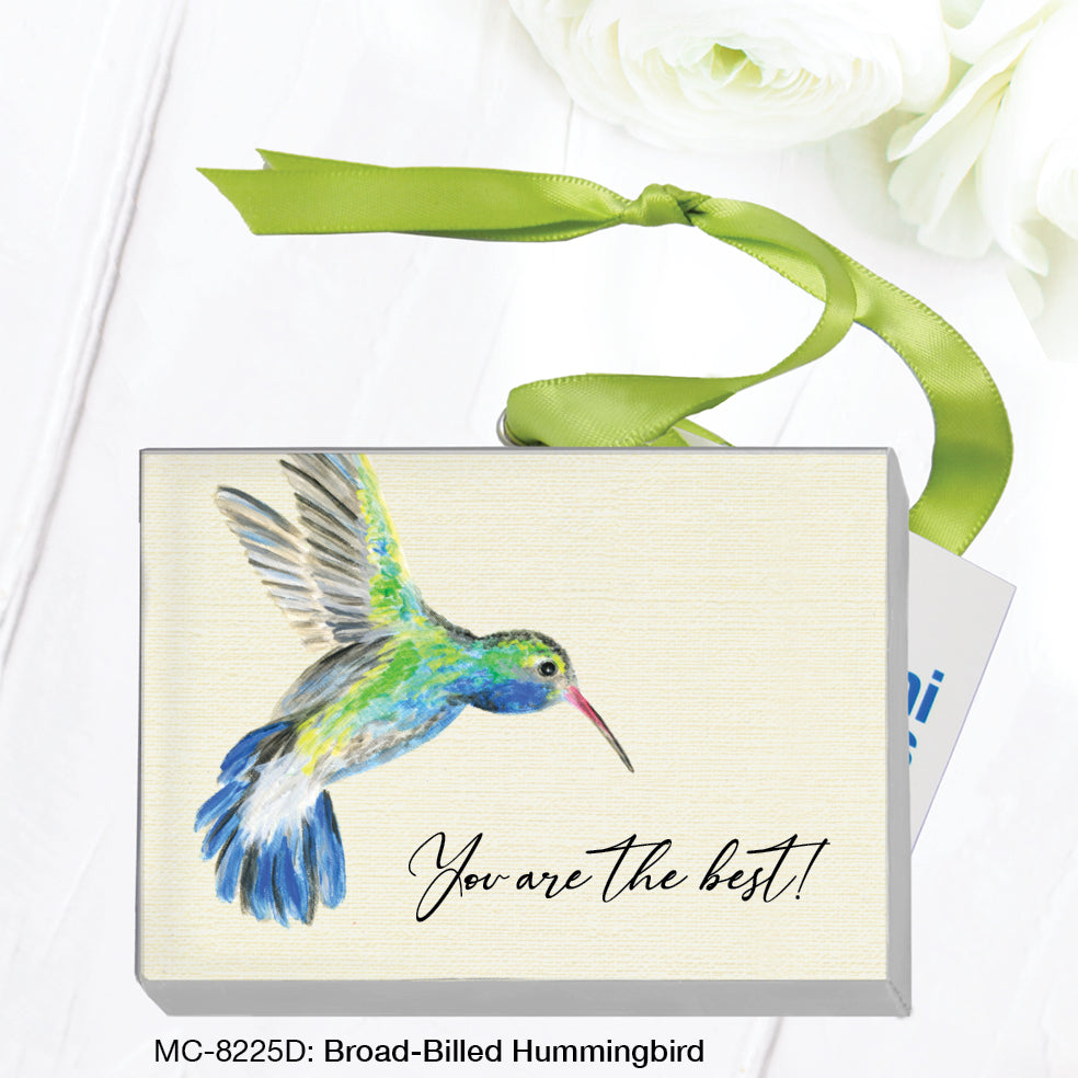 Broad-Billed Hummingbird (MC-8225D)