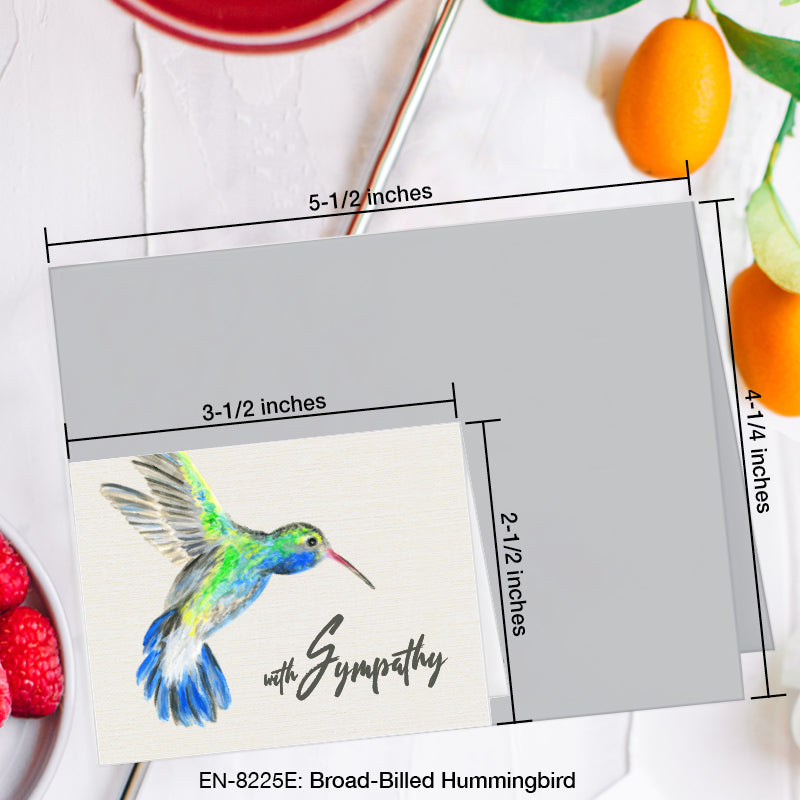 Broad-Billed Hummingbird, Greeting Card (8225E), Enclosure, www.printedcanvas.com