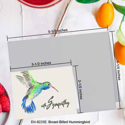Broad-Billed Hummingbird, Greeting Card (8225E), Enclosure, www.printedcanvas.com