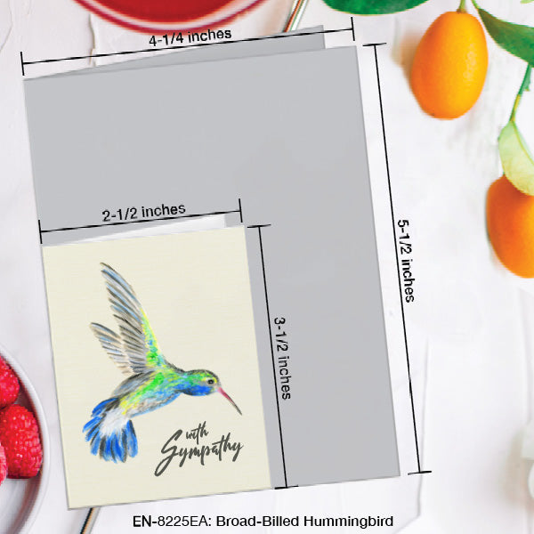 Broad-Billed Hummingbird, Greeting Card (8225EA), Enclosure, www.printedcanvas.com
