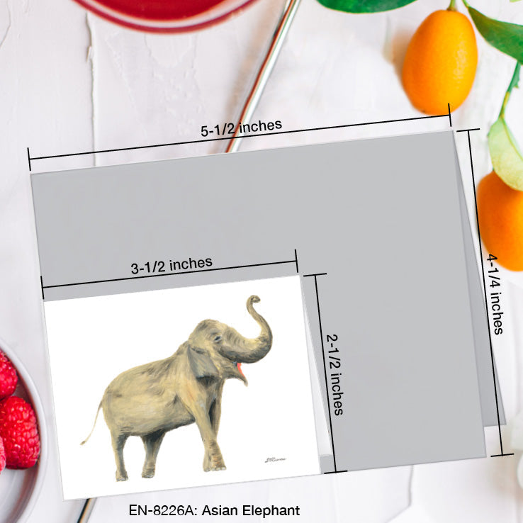 Asian Elephant, Greeting Card (8226A), Enclosure Card, www.printedcanvas.com