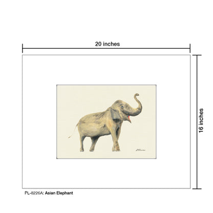 Asian Elephant, Print (#8226A)