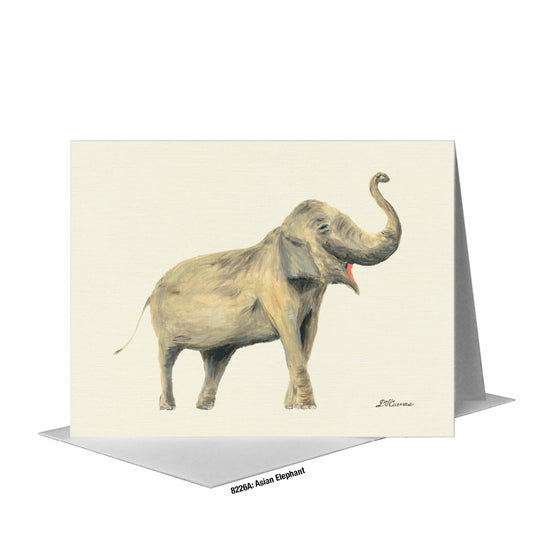 Asian Elephant, Greeting Card (#8226A)