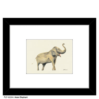 Asian Elephant, Print (#8226A)