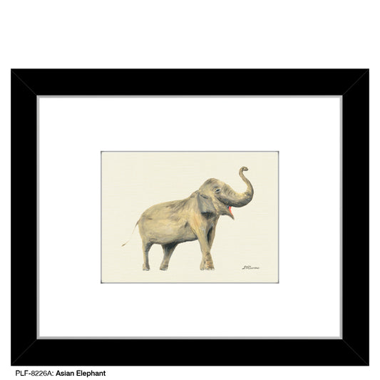 Asian Elephant, Print (#8226A)