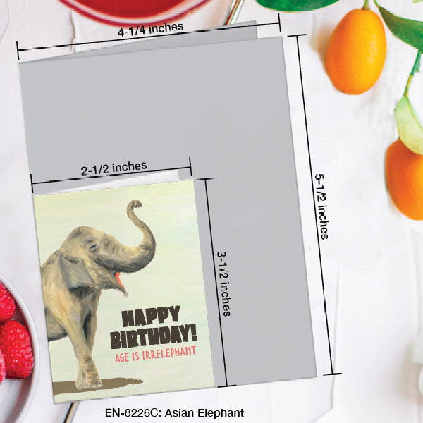 Asian Elephant, Greeting Card (8226C), Enclosure, www.printedcanvas.com