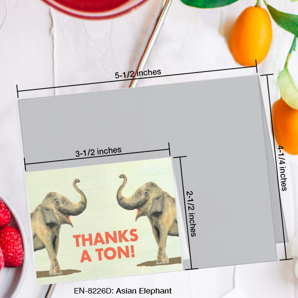 Asian Elephant, Greeting Card (8226D), Enclosure Card, www.printedcanvas.com