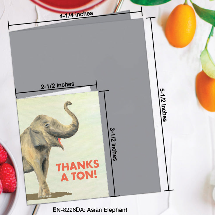 Asian Elephant, Greeting Card (8226DA), Enclosure Card, www.printedcanvas.com