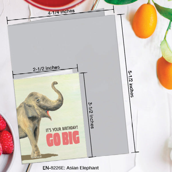 Asian Elephant, Greeting Card (8226E), Enclosure, www.printedcanvas.com