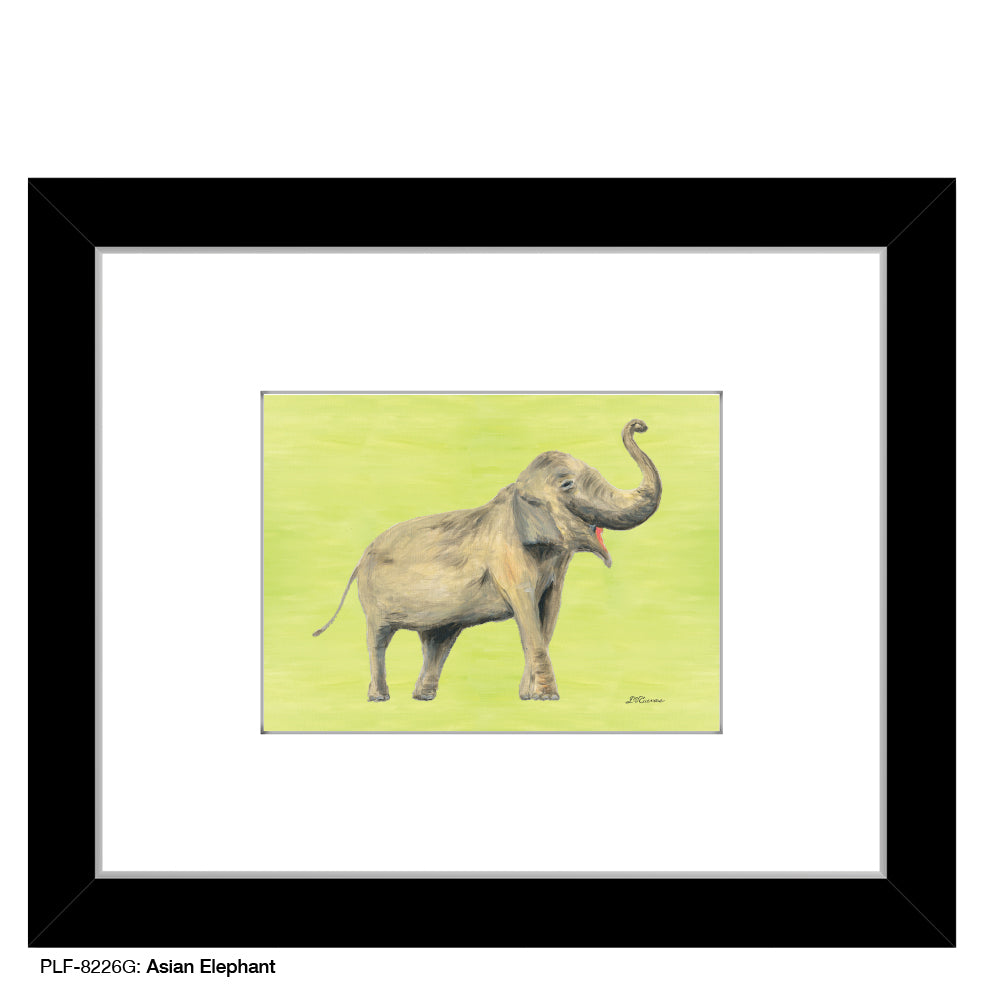 Asian Elephant, Print (#8226G)