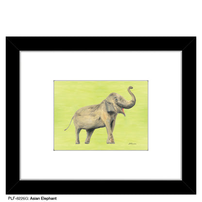 Asian Elephant, Print (#8226G)