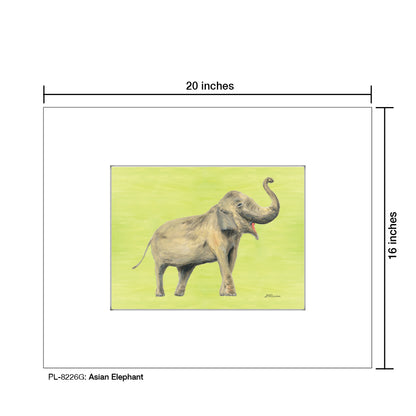 Asian Elephant, Print (#8226G)