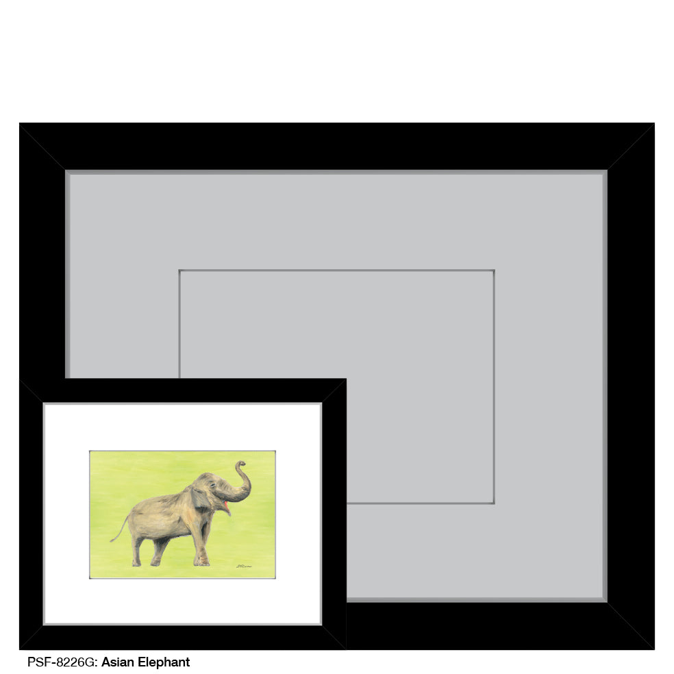 Asian Elephant, Print (#8226G)