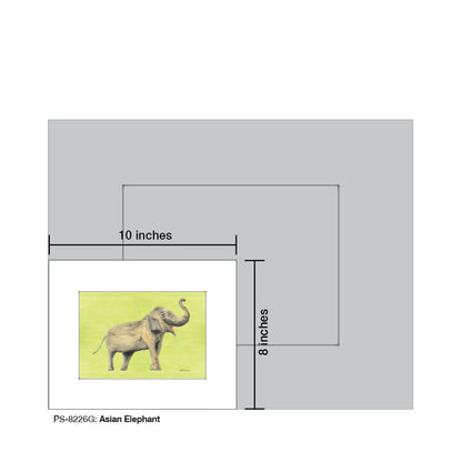 Asian Elephant, Print (#8226G)