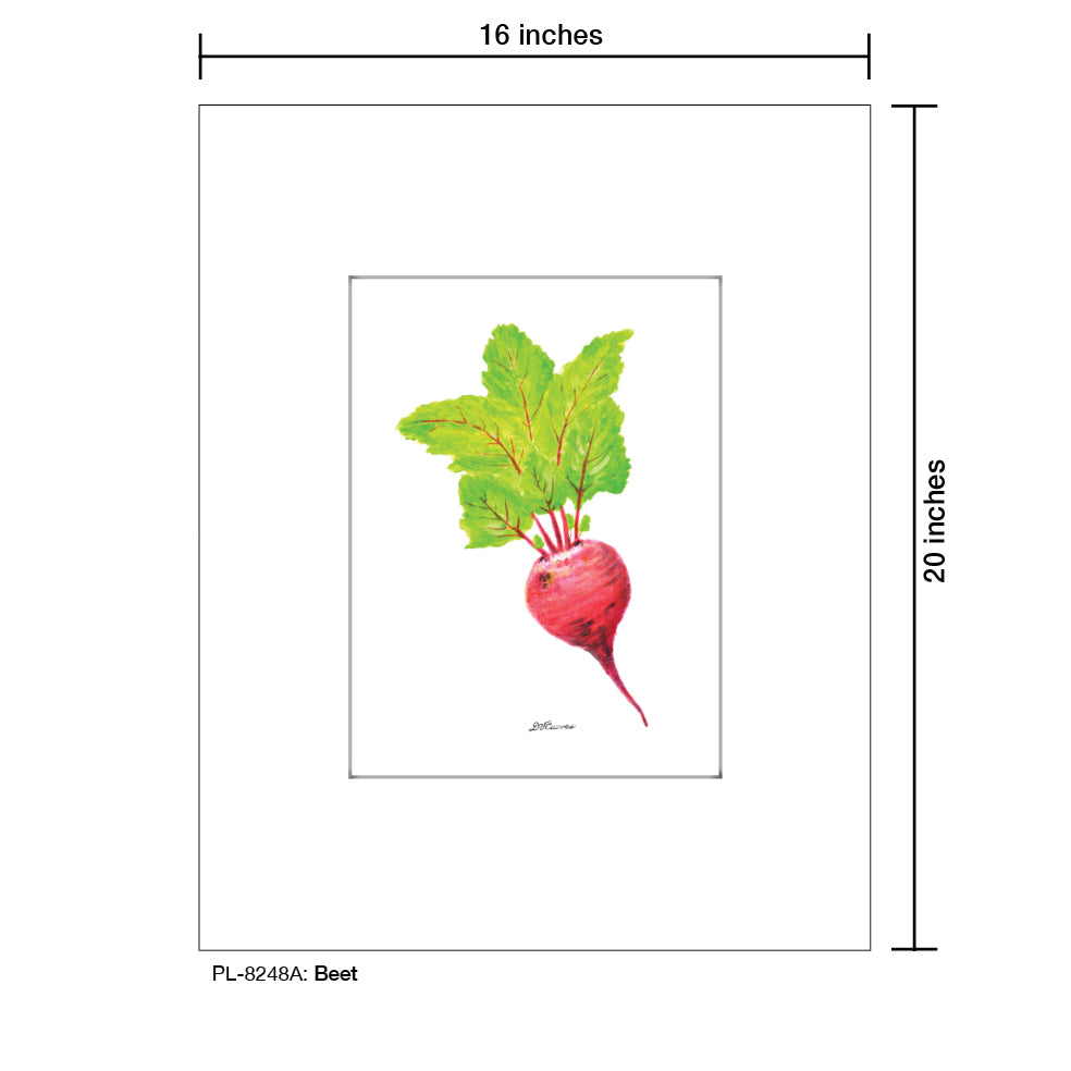 Beet, Print (#8248A)