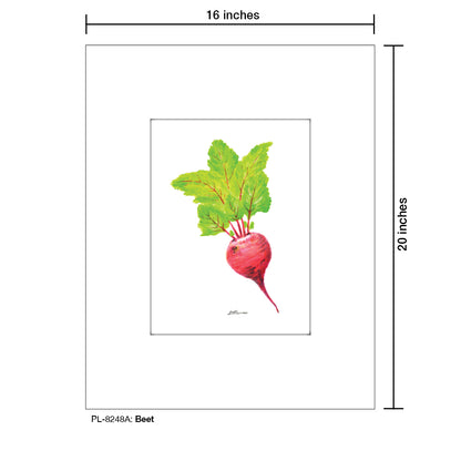 Beet, Print (#8248A)