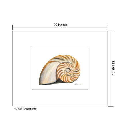 Ocean Shell, Print (#8259)