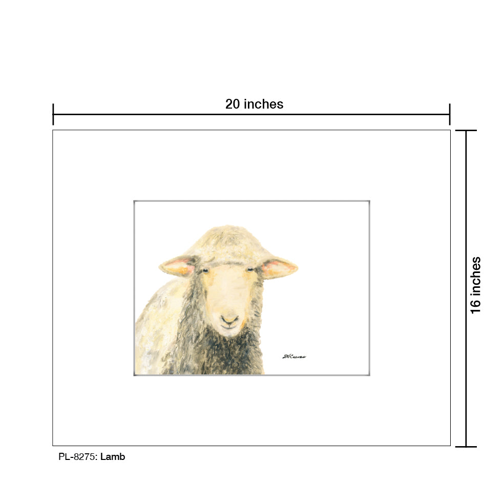 Lamb, Print (#8275)