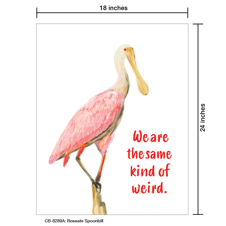 Roseate Spoonbill, Card Board (8289A), 18'x24 PosterBoard at www.printedcanvas.com