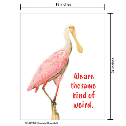 Roseate Spoonbill, Card Board (8289A), 18'x24 PosterBoard at www.printedcanvas.com