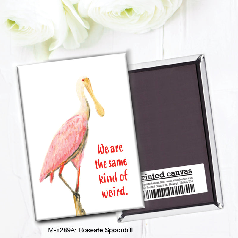 Roseate Spoonbill, Magnet (8289A)