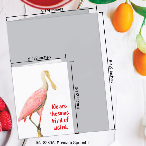Roseate Spoonbill, Greeting Card (8289A), Enclosure, www.printedcanvas.com