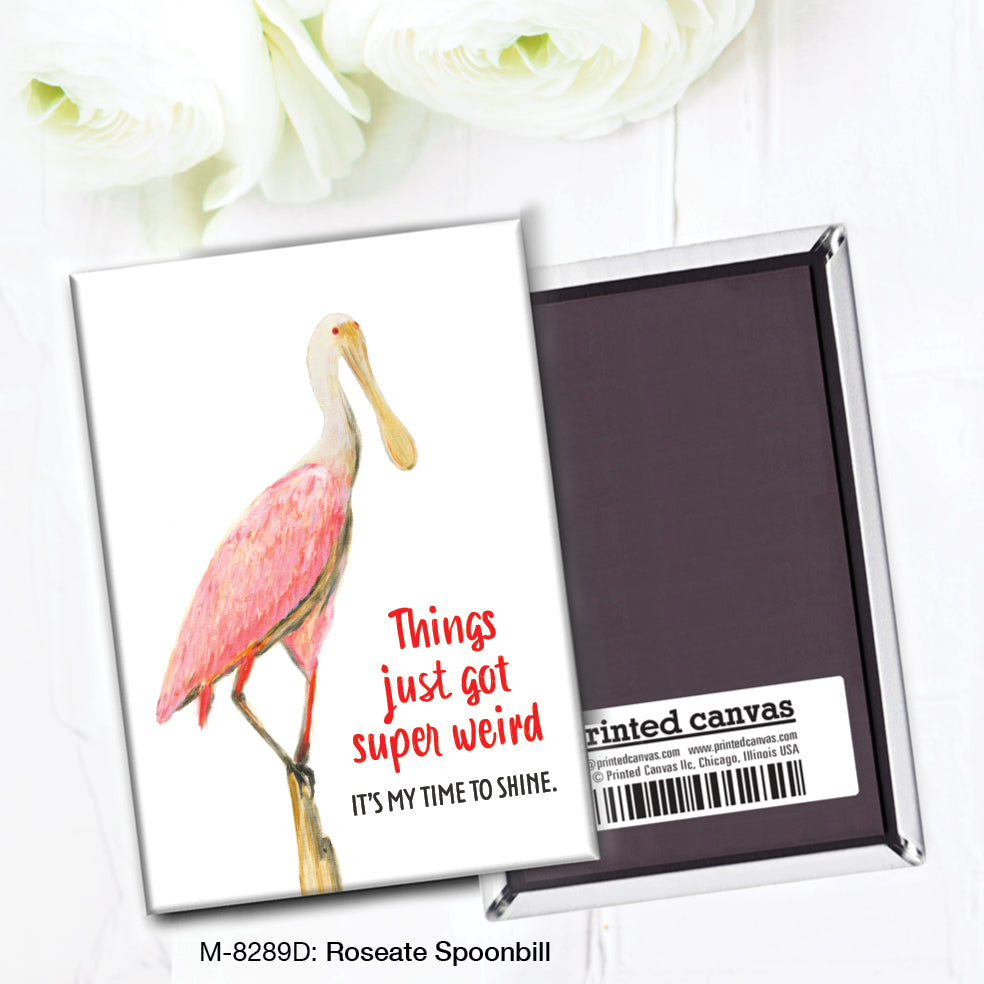 Roseate Spoonbill, Magnet (M-8289D)