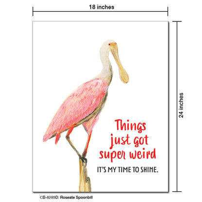 Roseate Spoonbill, Card Board (8289D)