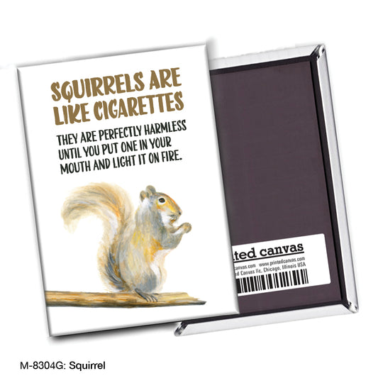 Squirrel, Magnet (8304G)