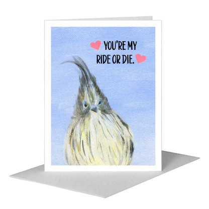 Feather Mohawk, Greeting Card (#8317JA) A2 Card Front, www.printedcanvas.com