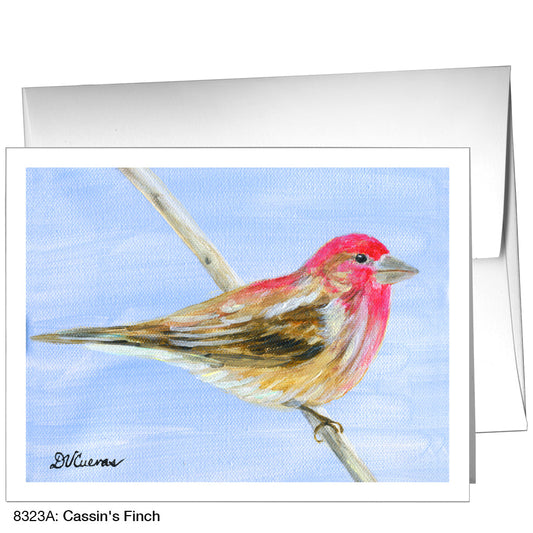 CassinÕs Finch, Greeting Card (8323A), A2 Card Front, www.printedcanvas.com