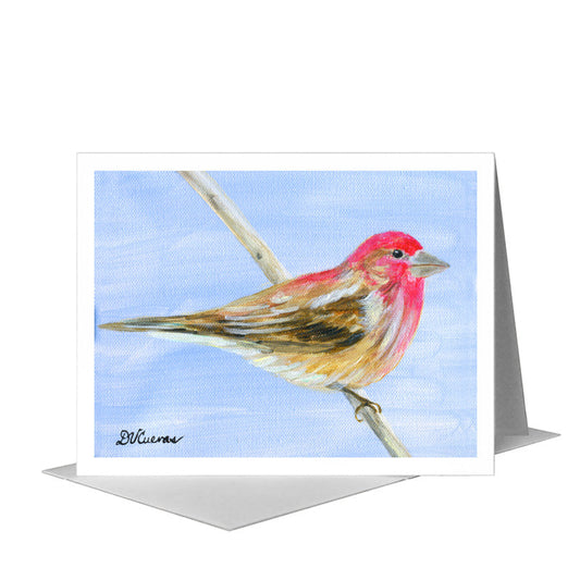 Cassin's Finch, Greeting Card (#8323A) A2 Card Front, www.printedcanvas.com