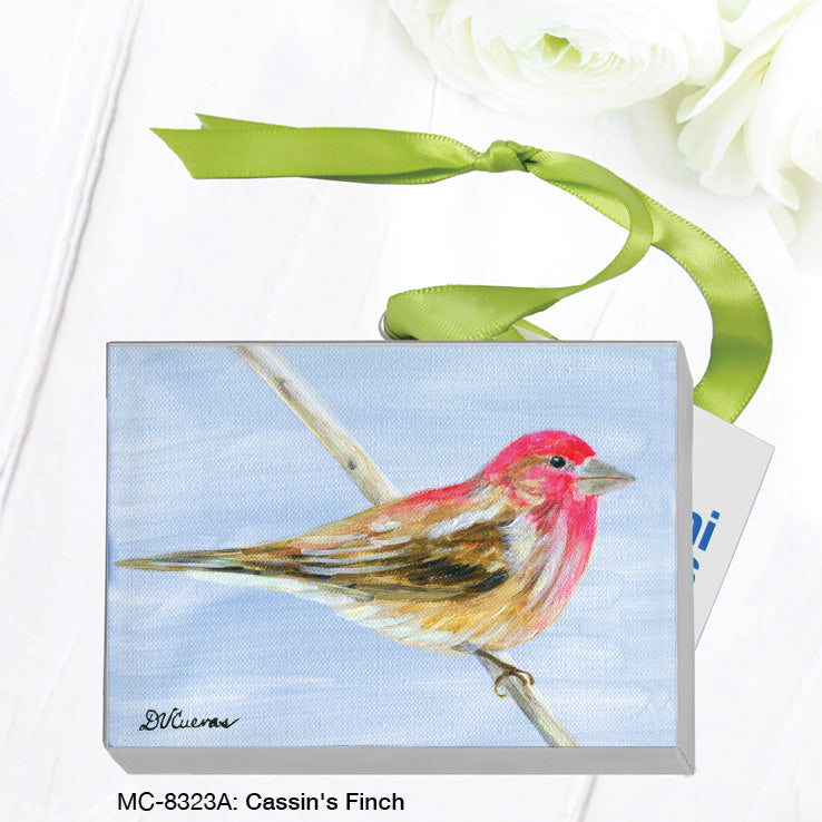 Cassin's Finch, Mini Canvas (MC-8323), Front, printedcanvas.com