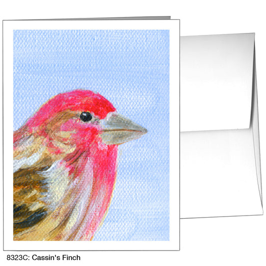 CassinÕs Finch, Greeting Card (8323C), A2 Card Front, www.printedcanvas.com